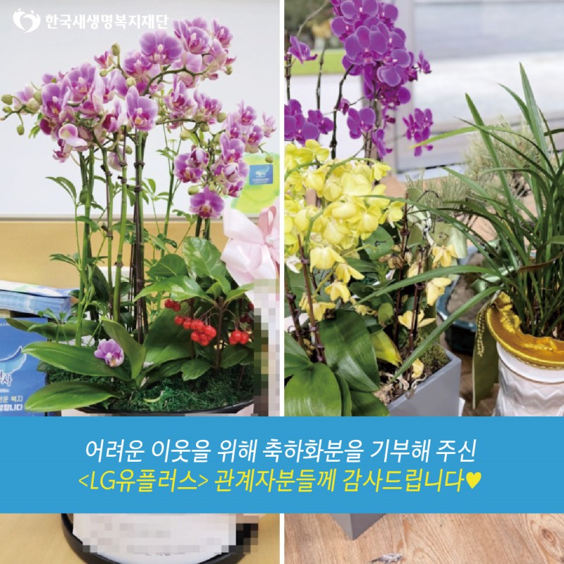 내용이미지파일:240105-화분-엘지유플러스-02.jpg