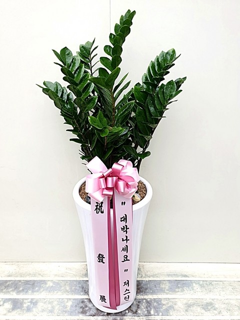 ̹:KakaoTalk_20190311_141720470.jpg